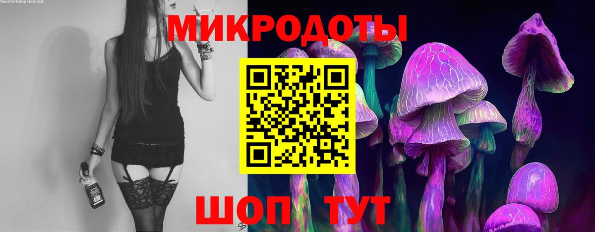 Зеленодольск  Галлюциногенные грибы мицелий  Вход с VPN 